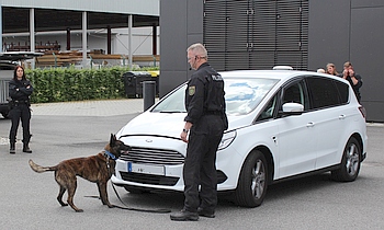 hund1