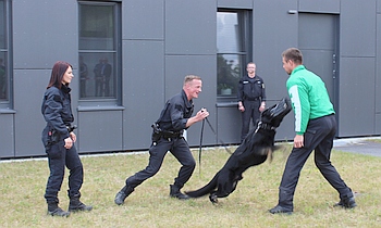 hund2